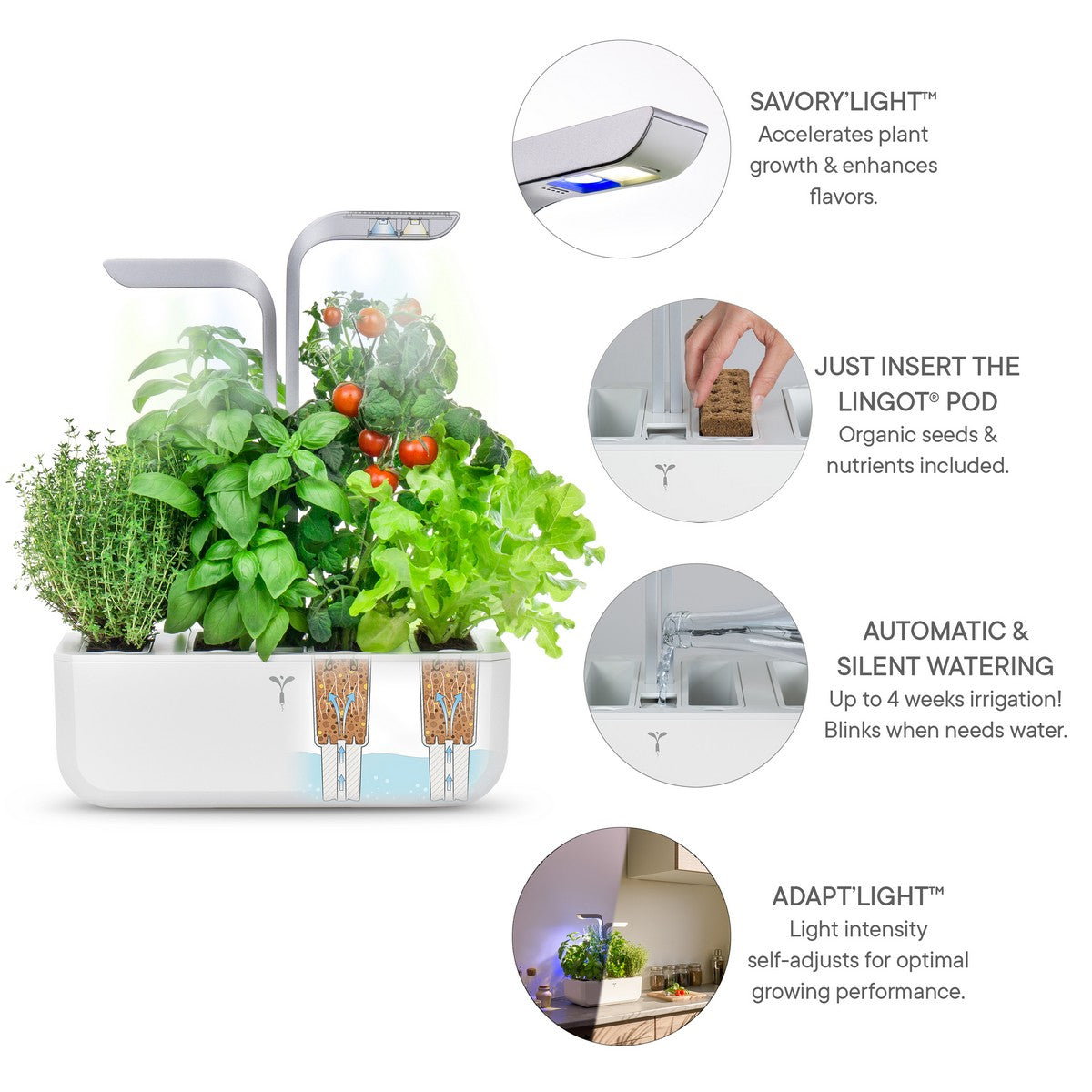 Veritable® SMART Arctic White Kučni Vrt
