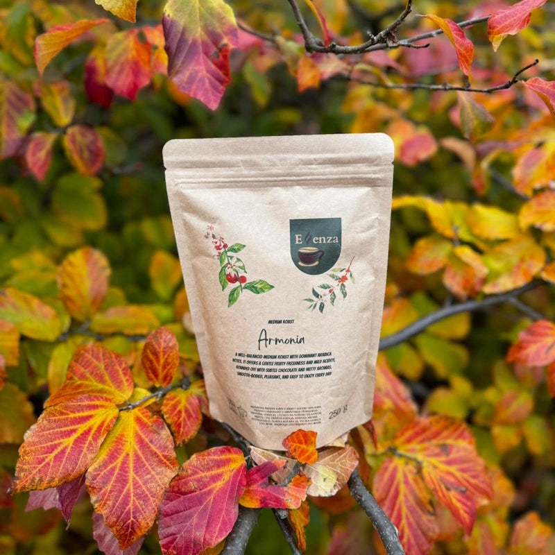 Essenza Armonia 250 g kava u zrnu