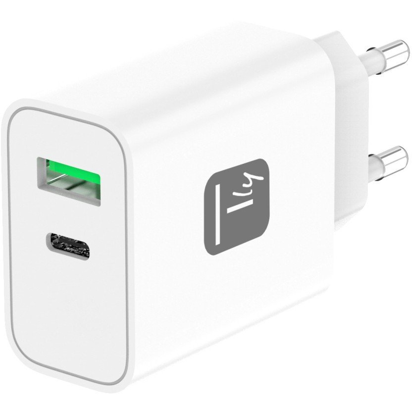 Techly IPW-USB-30WACG punjač za mobitel Univerzalno Bijelo AC Brzo punjenje U zatvorenom