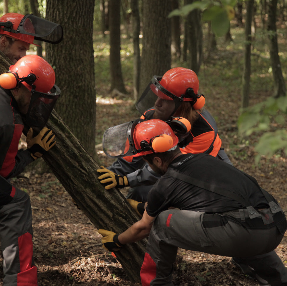 Proturezne zaštitne hlače LOGGER sive