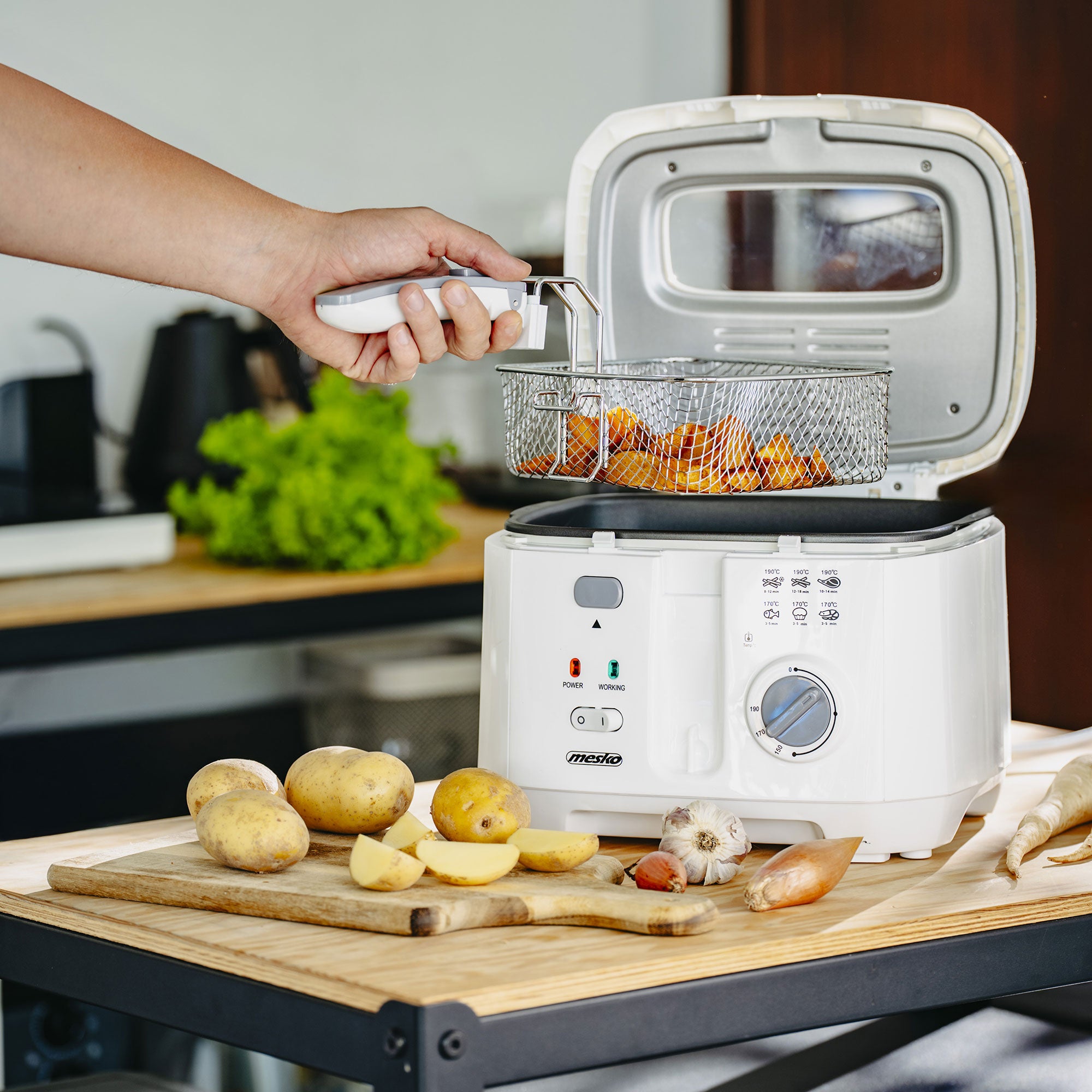 Friteza na ulje MS 4908G 2,5 L