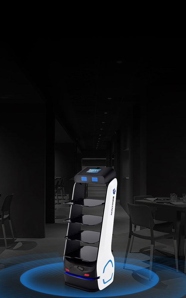 Robot konobar T5