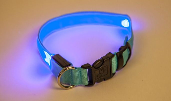 LED világító nyakörv kutyáknak választható méretben