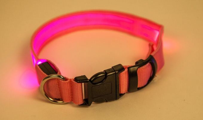 LED világító nyakörv kutyáknak választható méretben